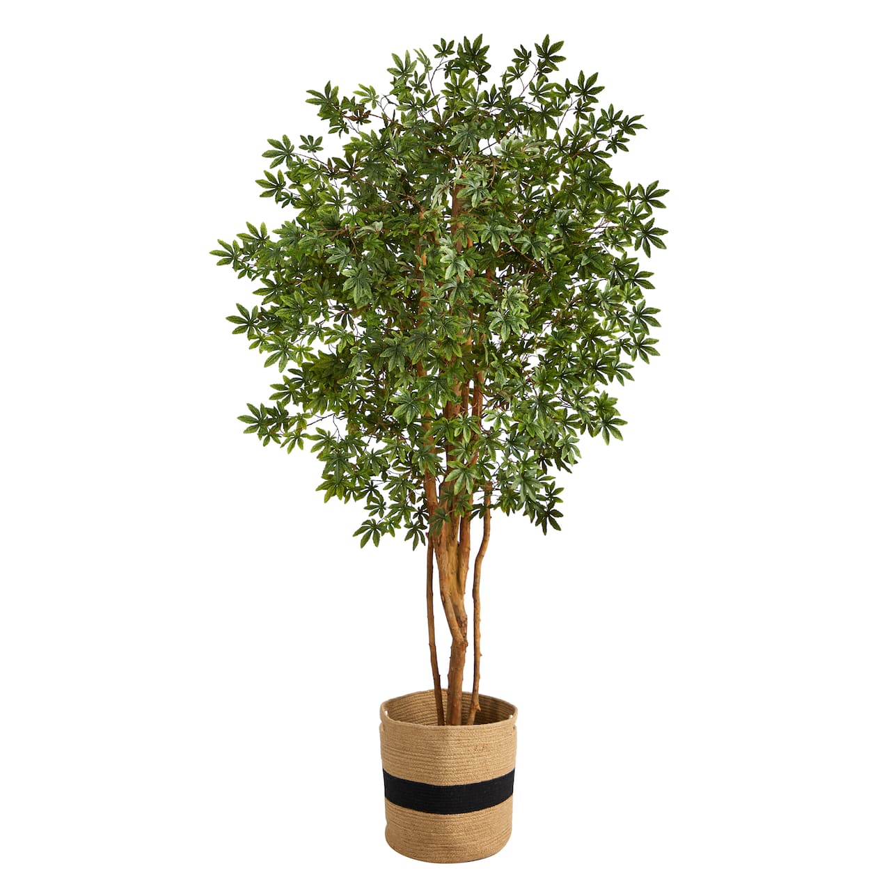 6ft. Japanese Maple Artificial Tree in Handmade Natural Cotton Planter
